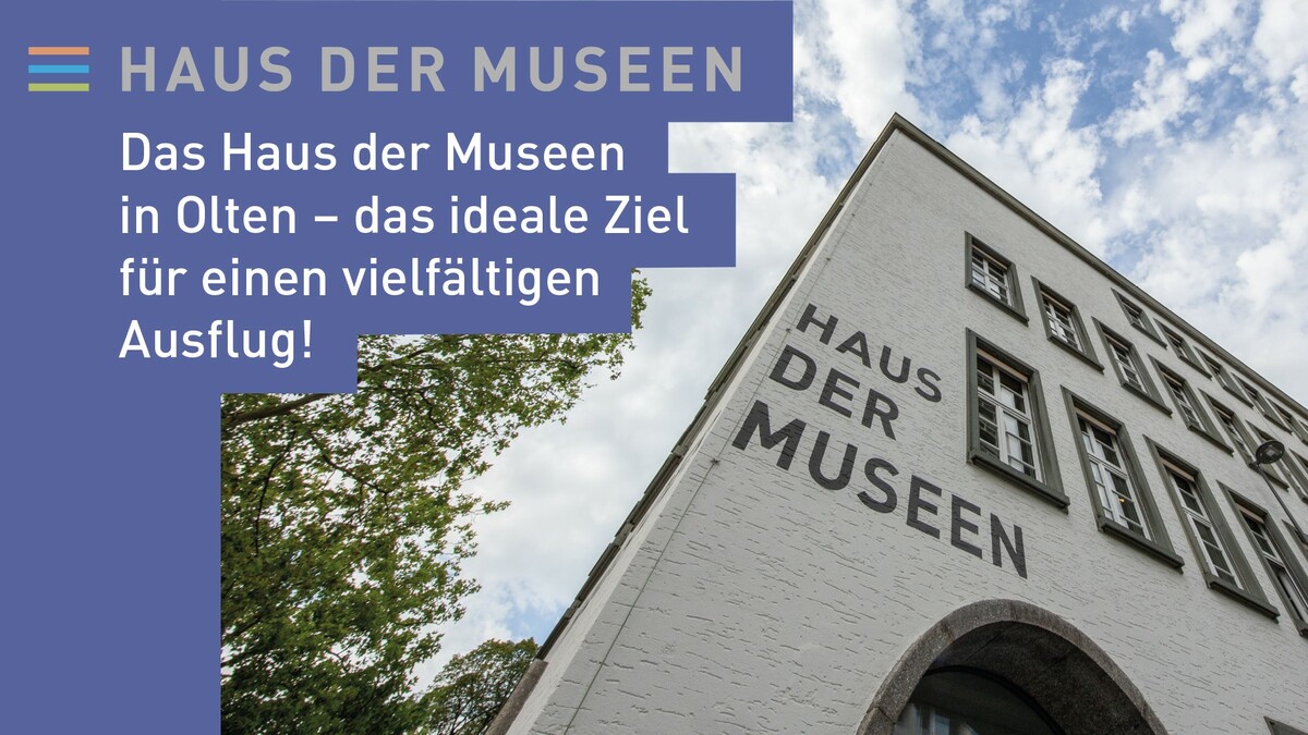 Haus der Museen